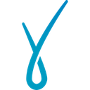 Elypta