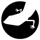 Lizard Global
