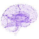 MindPortal