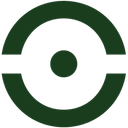 Oivi