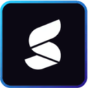 Summize