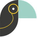 Toucan Toco